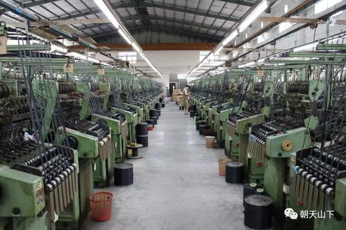 南安青年商會(huì)開展 交流活動(dòng)