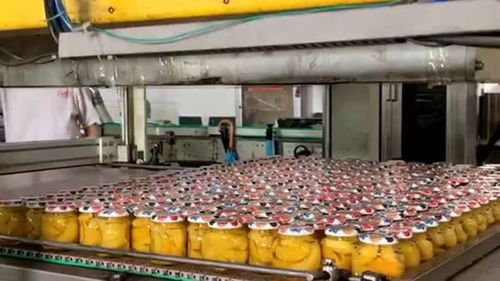 食品車間生產(chǎn)罐頭,全部采用自動(dòng)化機(jī)械生產(chǎn),工人們上班輕松多了