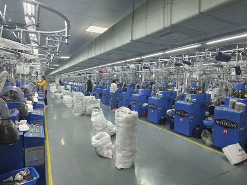 溫暖的回響 社區(qū)小工廠 就業(yè)大舞臺(tái) 897聚焦